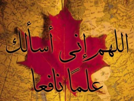 alhamdo lilah